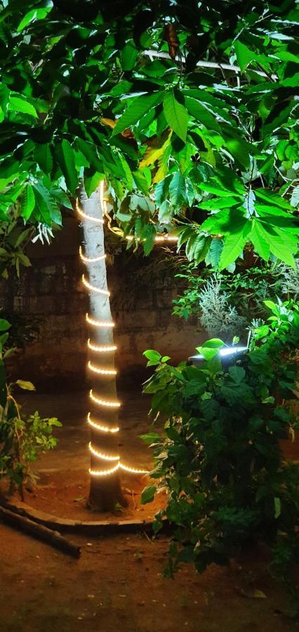 Oonjal Veedu Apartment Kuttalam  Bagian luar foto